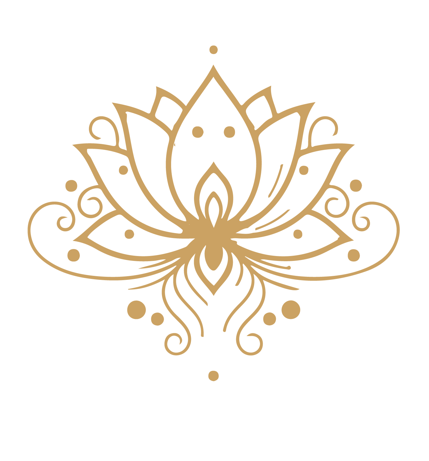 ZoryaArtboard-4.webp