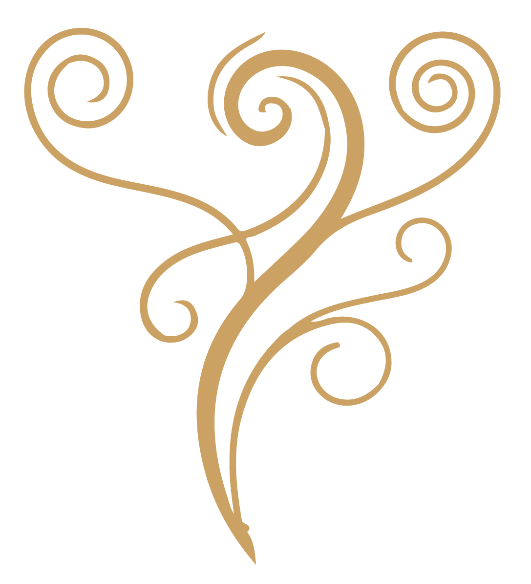 ZoryaArtboard-5.webp